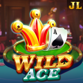 Wild Ace kijiji login slot